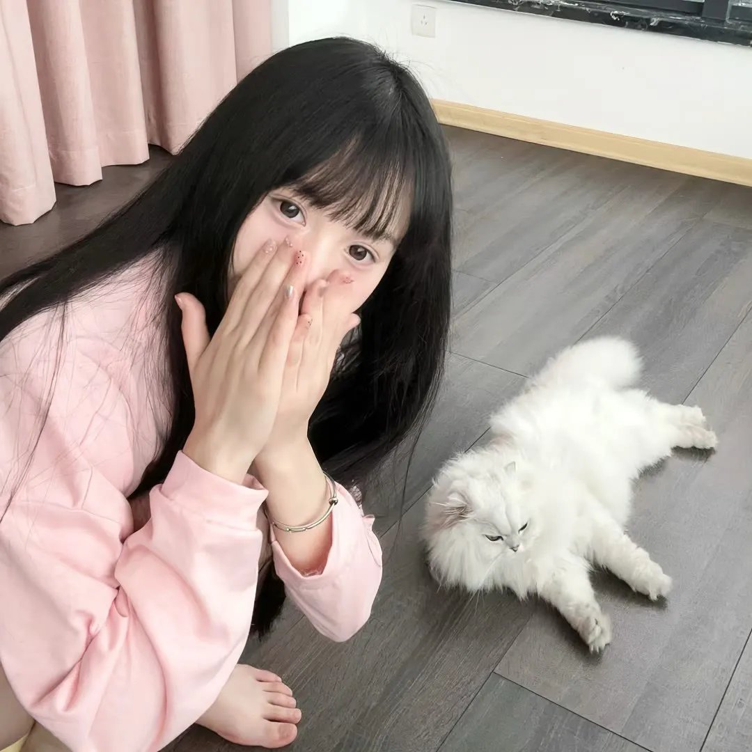 相亲式修真道侣·动态漫