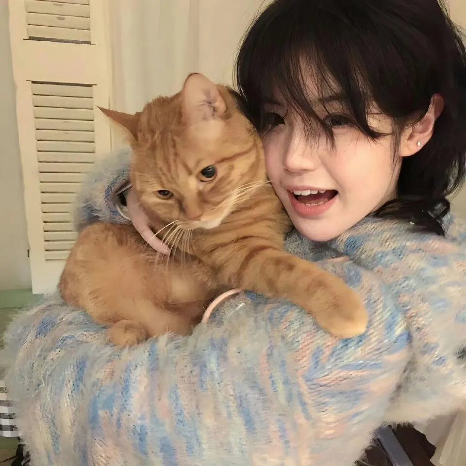 横冲直撞好莱坞